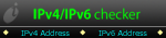 IPv4/IPv6 checker